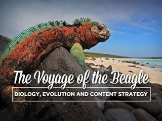 Voyage of the Beagle: Biology, Evolution, and Content Strategy