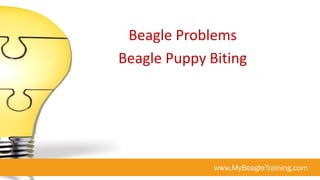 Beagle Problems
Beagle Puppy Biting




              www.MyBeagleTraining.com
 
