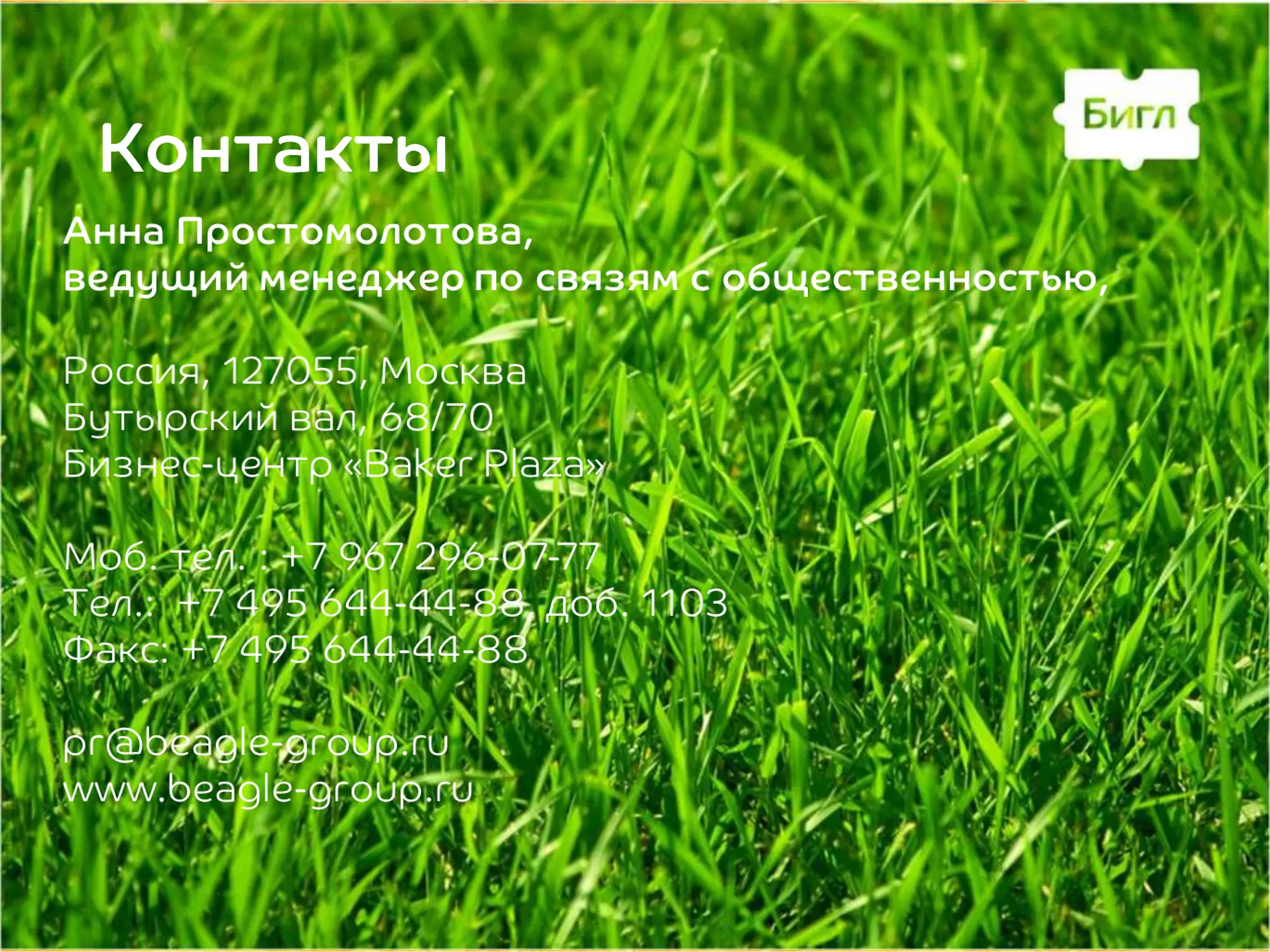 7055

      -          Baker Plaza

             967 296-07-77
     +7 495 644-44-            103
                -44-88

pr@beagle-group.ru
www.beagle-group.ru
 