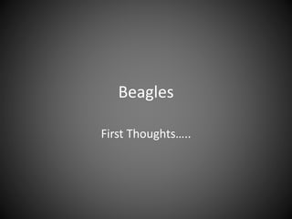 Beagles
First Thoughts…..
 