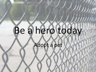 Be a hero today Adopt a pet 