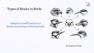 Beak Modifications by Dr. Ramzan Virani pptx.pdf