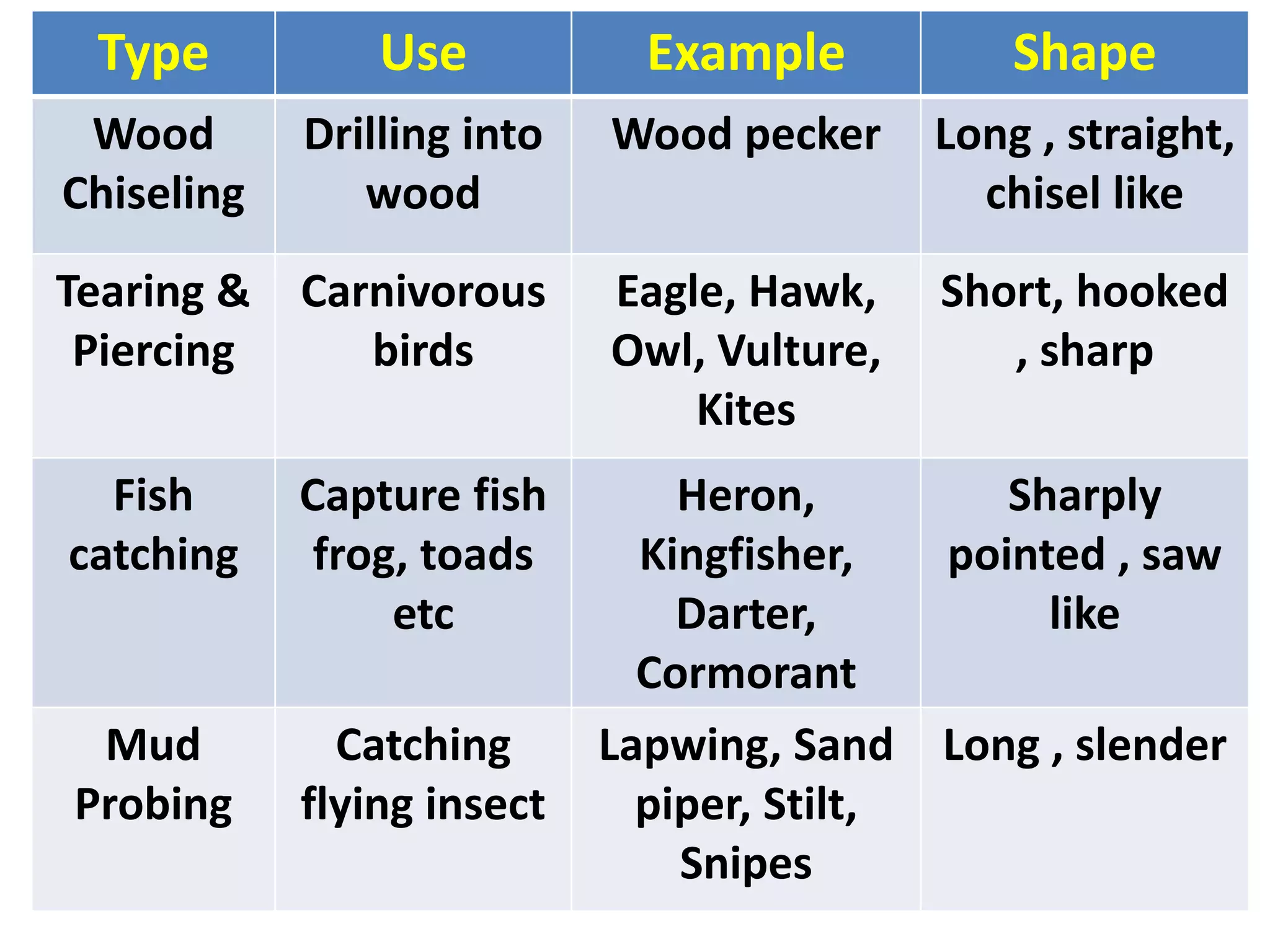 Type Use Example Shape
Wood
Chiseling
Drilling into
wood
Wood pecker Long , straight,
chisel like
Tearing &
Piercing
Carnivorous
birds
Eagle, Hawk,
Owl, Vulture,
Kites
Short, hooked
, sharp
Fish
catching
Capture fish
frog, toads
etc
Heron,
Kingfisher,
Darter,
Cormorant
Sharply
pointed , saw
like
Mud
Probing
Catching
flying insect
Lapwing, Sand
piper, Stilt,
Snipes
Long , slender
 