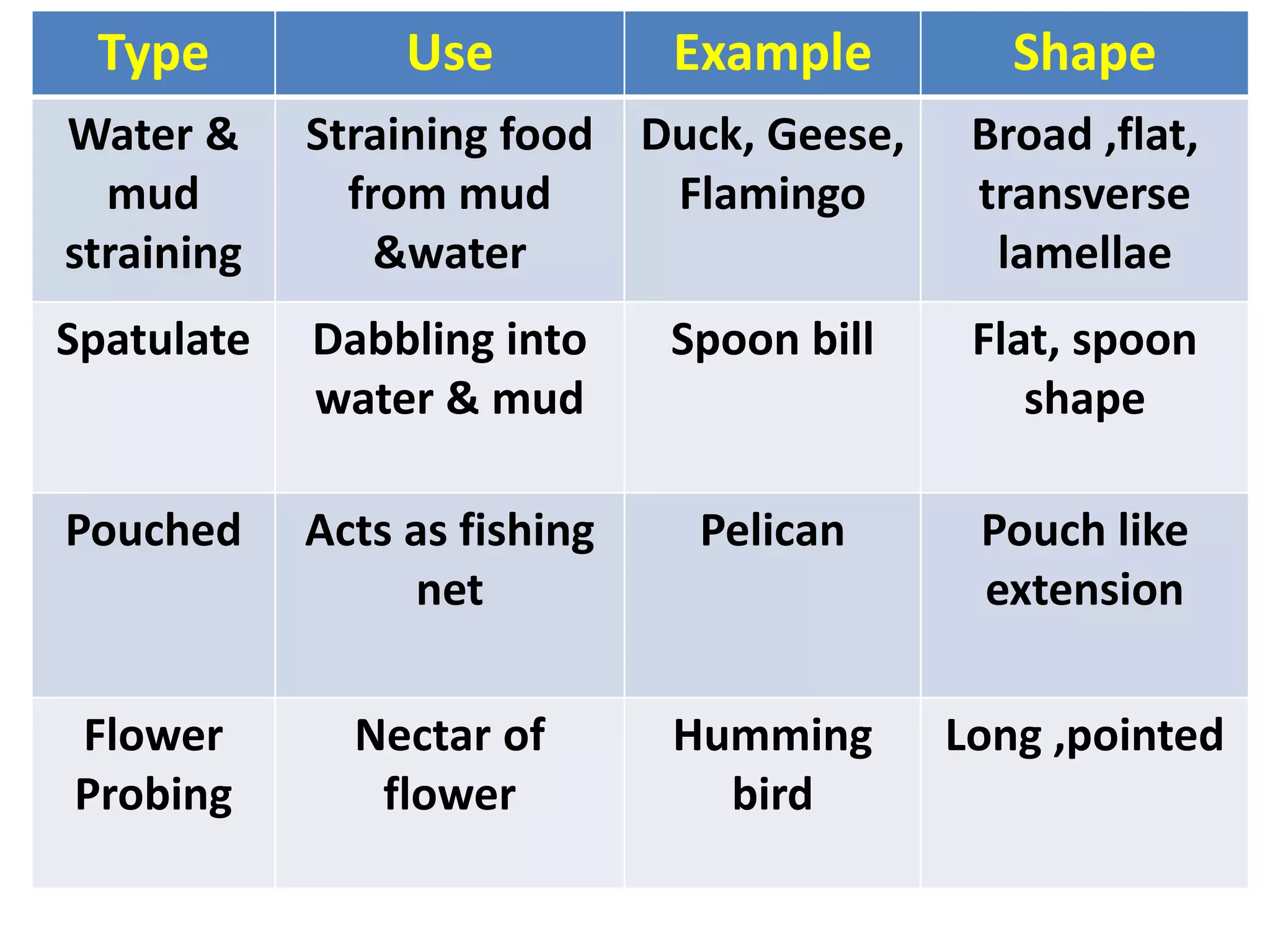 Type Use Example Shape
Water &
mud
straining
Straining food
from mud
&water
Duck, Geese,
Flamingo
Broad ,flat,
transverse
lamellae
Spatulate Dabbling into
water & mud
Spoon bill Flat, spoon
shape
Pouched Acts as fishing
net
Pelican Pouch like
extension
Flower
Probing
Nectar of
flower
Humming
bird
Long ,pointed
 