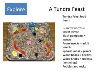 A Tundra Feast Tundra Feast food items Gummy worms = insect larvae Black pompoms = insects Foam insects = adult insects Sp...