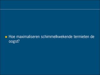  Hoe maximaliseren schimmelkwekende termieten de
oogst?
 