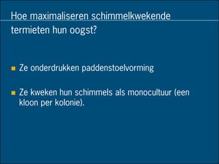 Hoe maximaliseren schimmelkwekende
termieten hun oogst?
 Ze onderdrukken paddenstoelvorming
 Ze kweken hun schimmels als monocultuur (een
kloon per kolonie).
 
