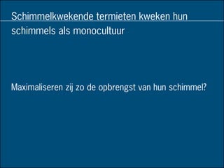 Schimmelkwekende termieten kweken hun
schimmels als monocultuur
Maximaliseren zij zo de opbrengst van hun schimmel?
 