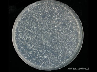 Aanen et al., Science 2009
 