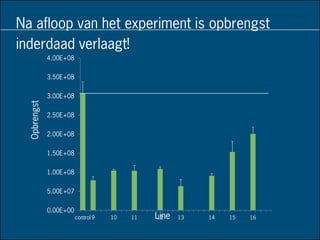 Na afloop van het experiment is opbrengst
inderdaad verlaagt!
0.00E+00
5.00E+07
1.00E+08
1.50E+08
2.00E+08
2.50E+08
3.00E+08
3.50E+08
4.00E+08
control 9 10 11 12 13 14 15 16Line
Opbrengst
 