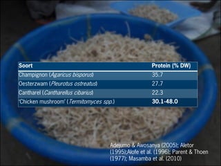 Soort Protein (% DW)
Champignon (Agaricus bisporus) 35.7
Oesterzwam (Pleurotus ostreatus) 27.7
Cantharel (Cantharellus cibarius) 22.3
‘Chicken mushroom’ (Termitomyces spp.) 30.1-48.0
Adejumo & Awosanya (2005); Aletor
(1995);Alofe et al. (1996); Parent & Thoen
(1977); Masamba et al. (2010)
 