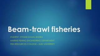 Beam-trawl fisheries
STUDENT : EYHAB GAMAL BADRA
MARINE FISHING ENGINEERING DEPARTMENT
FISH RESOURCES COLLEGE – SUEZ UNIVERSITY
 