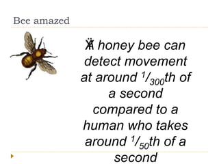 Bee amazed
ŸA honey bee can
detect movement
at around 1/300th of
a second
compared to a
human who takes
around 1/50th of a
second
 
