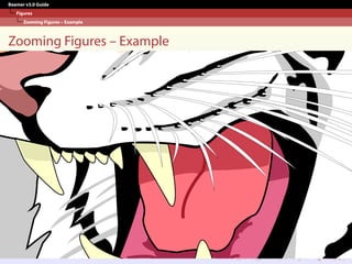 Beamer v3.0 Guide
Figures
Zooming Figures – Example
Zooming Figures – Example
 