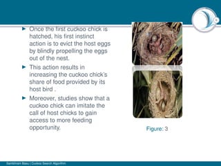 6
Once the ﬁrst cuckoo chick is
hatched, his ﬁrst instinct
action is to evict the host eggs
by blindly propelling the eggs
out of the nest.
This action results in
increasing the cuckoo chick’s
share of food provided by its
host bird .
Moreover, studies show that a
cuckoo chick can imitate the
call of host chicks to gain
access to more feeding
opportunity. Figure: 3
Sambhram Basu | Cuckoo Search Algorithm
 