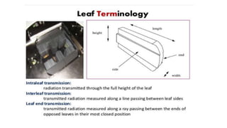 Beam modifying devices 1 Radiophysics | PPTX