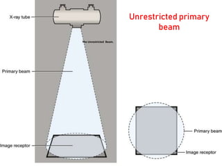 The Unrestricted Beam.
Unrestricted primary
beam
 