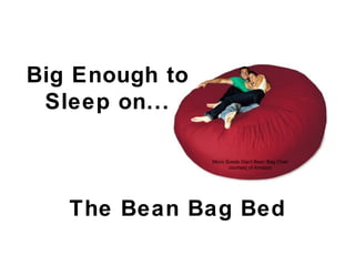 Micro Suede Giant Bean Bag Chair
courtesy of Amazon
Big Enough to
Sleep on...
The Bean Bag Bed
 