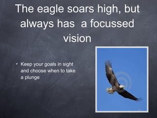 The eagle soars high, but always has  a focussed vision Keep your goals in sight and choose when to take a plunge 