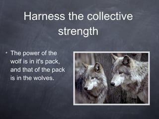 Harness the collective strength The power of the wolf is in it's pack, and that of the pack is in the wolves. 