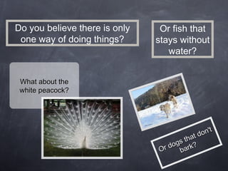 Do you believe there is only one way of doing things? What about the white peacock? Or dogs that don't bark? Or fish that stays without water? 