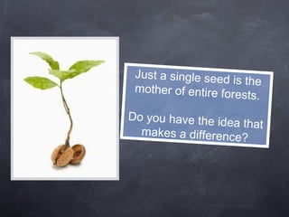 Just a single seed is the mother of entire forests. Do you have the idea that makes a difference? 