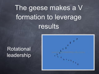 The geese makes a V formation to leverage results Rotational  leadership  