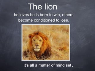 The lion  believes he is born to win, others become conditioned to lose. It's all a matter of mind set . 
