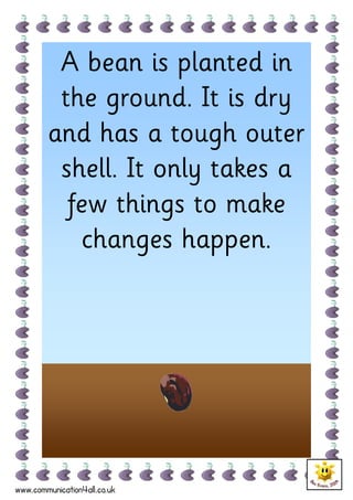 A bean is planted in
         the ground. It is dry
        and has a tough outer
         shell. It only takes a
          few things to make
           changes happen.




www.communication4all.co.uk
 