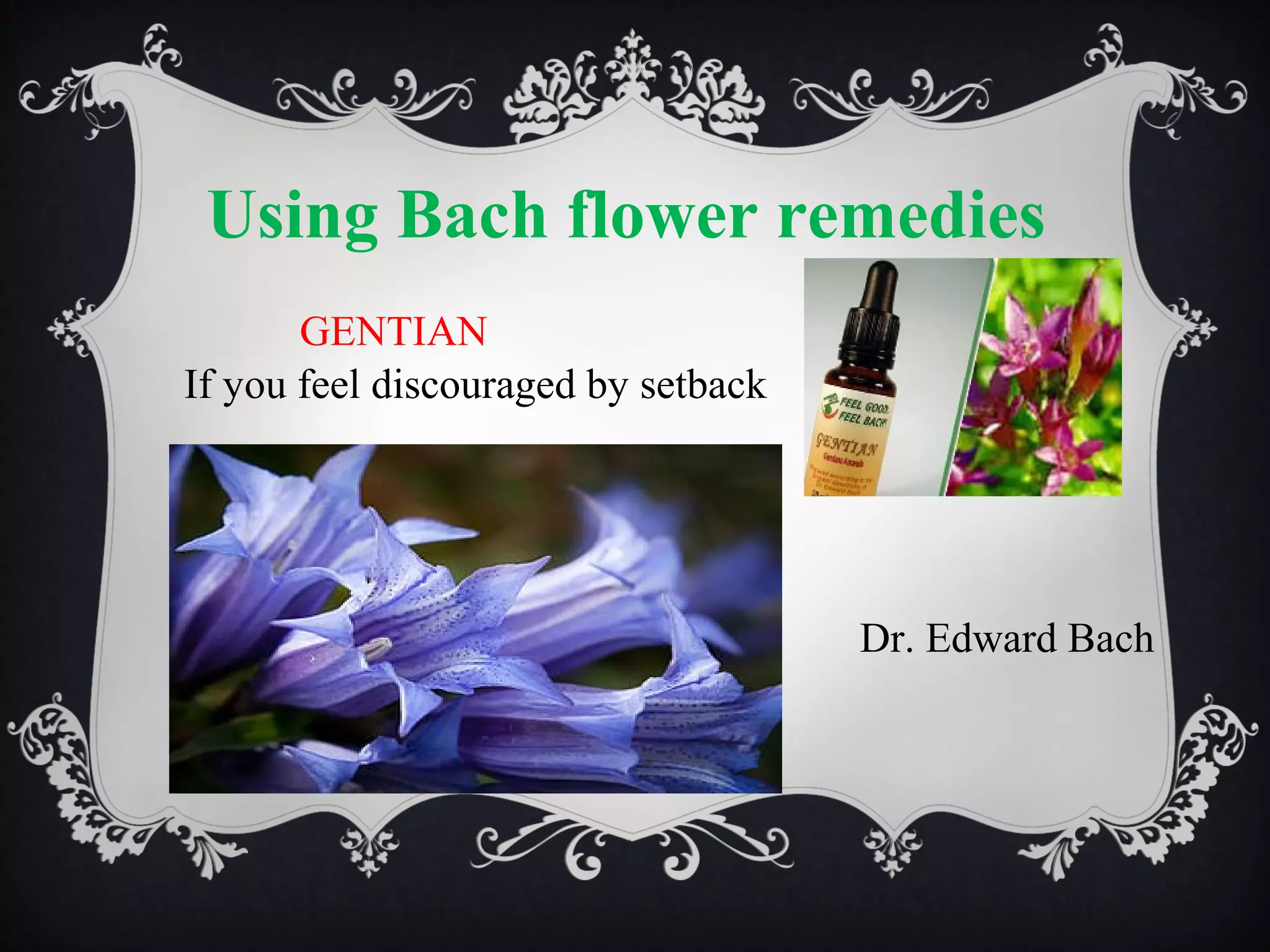 Using Bach flower remedies
GENTIAN
If you feel discouraged by setback

Dr. Edward Bach

 