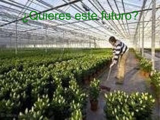 ¿Quieres este futuro?