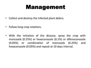 Management
• Collect and destroy the infected plant debris.
• Follow long crop rotations.
• With the initiation of the disease, spray the crop with
mancozeb (0.25%) or hexaconazole (0.1%) or difenoconazole
(0.05%) or combination of mancozeb (0.25%) and
hexaconazole (0.05%) and repeat at 10 days interval.
 