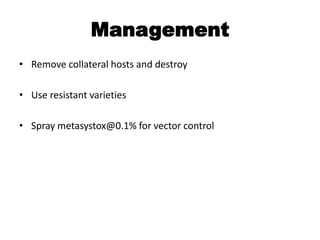 Management
• Remove collateral hosts and destroy
• Use resistant varieties
• Spray metasystox@0.1% for vector control
 