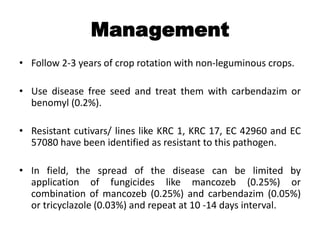 Management
• Follow 2-3 years of crop rotation with non-leguminous crops.
• Use disease free seed and treat them with carbendazim or
benomyl (0.2%).
• Resistant cutivars/ lines like KRC 1, KRC 17, EC 42960 and EC
57080 have been identified as resistant to this pathogen.
• In field, the spread of the disease can be limited by
application of fungicides like mancozeb (0.25%) or
combination of mancozeb (0.25%) and carbendazim (0.05%)
or tricyclazole (0.03%) and repeat at 10 -14 days interval.
 