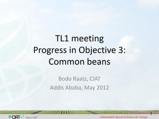TL1 meeting
Progress in Objective 3:
   Common beans
       Bodo Raatz, CIAT
    Addis Ababa, May 2012



                            1
 