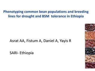 Phenotyping common bean populations and breeding
  lines for drought and BSM tolerance in Ethiopia




   Asrat AA, Fistum A, Daniel A, Yayis R

   SARI- Ethiopia
 