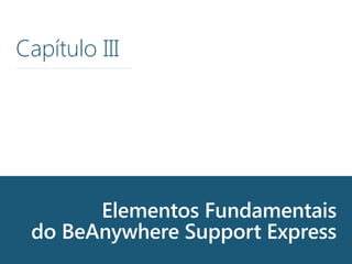 Elementos Fundamentais
do BeAnywhere Support Express
Capítulo III
 