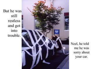 But he was still restless and got into trouble. Neel, he told me he was sorry about your car. 