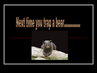 Next time you trap a bear.............. 