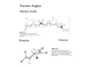 Torsion Angles
Nucleic Acids
Proteins Fletterick
 