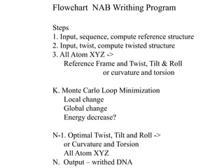 Flowchart NAB Writhing Program
Steps
1. Input, sequence, compute reference structure
2. Input, twist, compute twisted structure
3. All Atom XYZ ->
Reference Frame and Twist, Tilt  Roll
or curvature and torsion
K. Monte Carlo Loop Minimization
Local change
Global change
Energy decrease?
N-1. Optimal Twist, Tilt and Roll ->
or Curvature and Torsion
All Atom XYZ
N. Output – writhed DNA
 