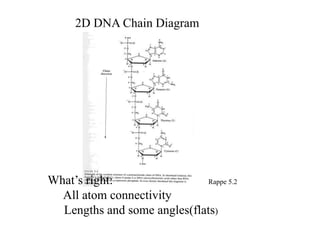 2D DNA Chain Diagram
What’s right: Rappe 5.2
All atom connectivity
Lengths and some angles(flats)
 