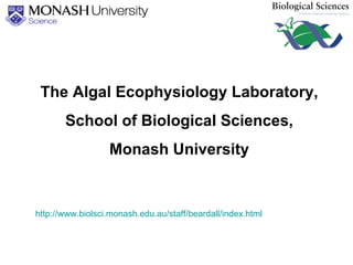 The Algal Ecophysiology Laboratory, School of Biological Sciences, Monash University http://www.biolsci.monash.edu.au/staff/beardall/index.html 