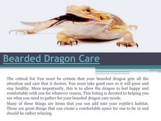 Bearded Dragon Care
The critical list You must be certain that your bearded dragon gets all the
attention and care that it desires. You must take good care so it will grow and
stay healthy. More importantly, this is to allow the dragon to feel happy and
comfortable with you for whatever reason. This listing is devoted to helping you
see what you need to gather for your bearded dragon care needs.
Many of these things are items that you can add into your reptile’s habitat.
These are great things that can create a comfortable space for one to be in and
should be rather relaxing.
 