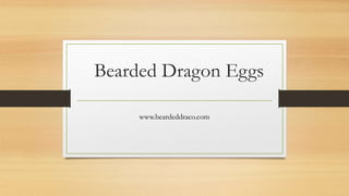 Bearded Dragon Eggs
www.beardeddraco.com
 