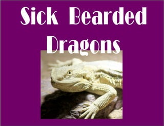 Bearded Dragon Illnesses
