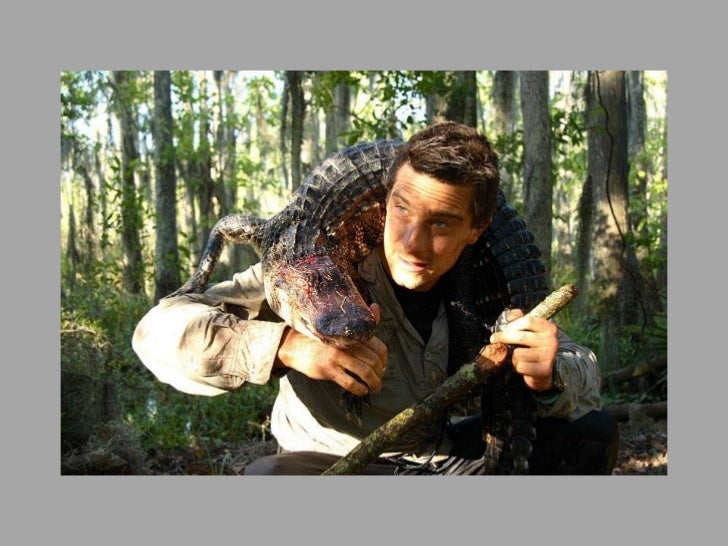 Bear Grylls Archives - GetBestBooks