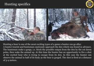 Hunting specifics




  Hunting a bear is one of the most exciting types of a game a hunter can go after.
  A hunter-tourist and huntsman cautiously approach the den which was found in advance.
  The huntsman make a gorge, i.e. block the possible output from the den by the cut down
  poles, then wake the animal up. At this time the hunter has an opportunity to fire a shot
  at the excited bear who is trying to escape from its den. In this case the hunter can
 
  observe the animal in half of its body as the bear is gorged. The shot is fired at a distance
  of 3-4 meters.
 