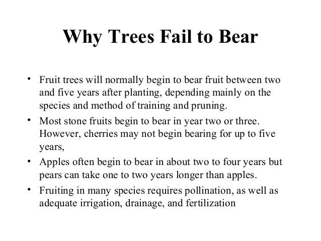 Why Fruit Trees Fail To Bear : Nothing Compares To Yuzu The New Yorker / Check spelling or type a new query.