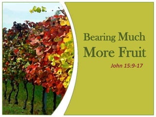 Bearing Much
More Fruit
     John 15:9-17
 